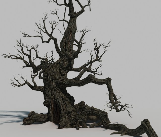 Dead tree 3D Model .c4d .max .obj .3ds .fbx .stl .blend 