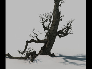 Dead tree 3D Model