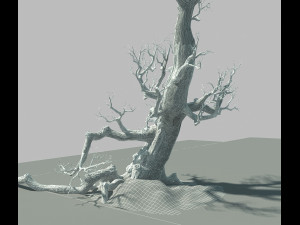 Dead tree 3D Model