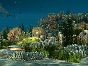 Seabed 3D Model