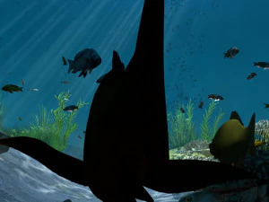 Seabed 3D Model
