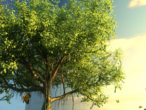 Banyan tree 3D Model