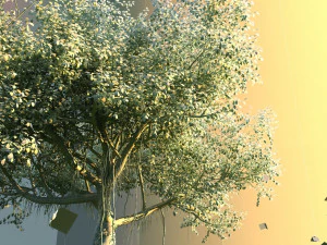 Banyan tree 3D Model