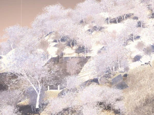 Stone steps 3D Model