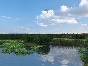 Wetlands 3D Model