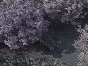 Garden 3D Model