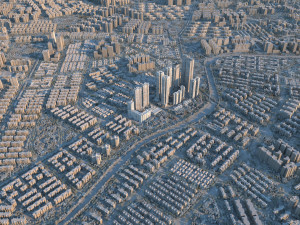 The view of the city Modello 3D