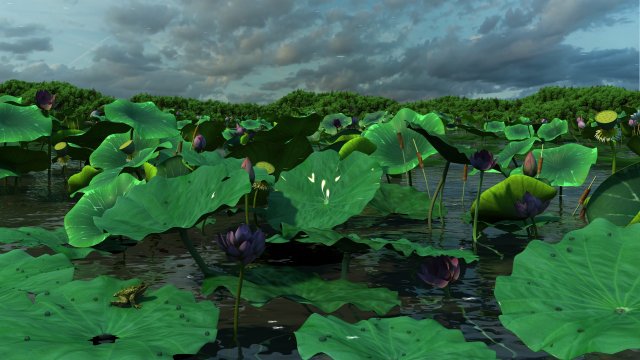 Lotus Pond Modello 3D .c4d .max .obj .3ds .fbx .stl .blend 