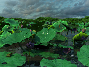 Lotus Pond 3Dモデル