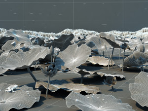 Lotus Pond Modello 3D