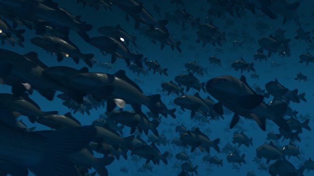 School of fish 3D Model .c4d .max .obj .3ds .fbx .stl .blend 