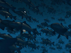 Стая рыб 3D Модель