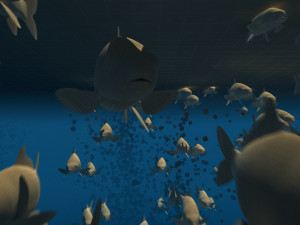 School of fish 3D Model