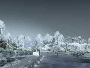Snow scene Modelo 3D