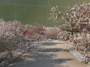 Taoyuan Road 3Dモデル