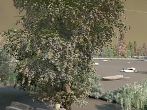 Lakeside Model 3D