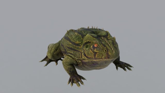 Frog 3D 모델 .c4d .max .obj .3ds .fbx .stl .blend 