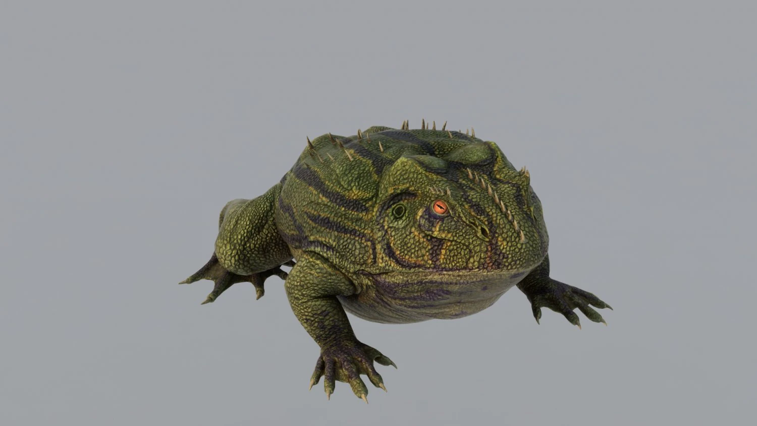 Rana Modello 3D .c4d .max .obj .3ds .fbx .stl .blend 