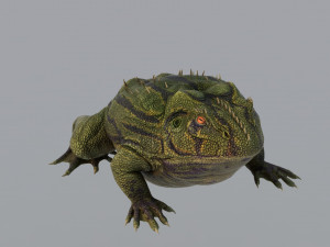 Frog 3D Модель