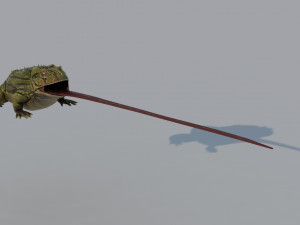 Frog 3D 모델