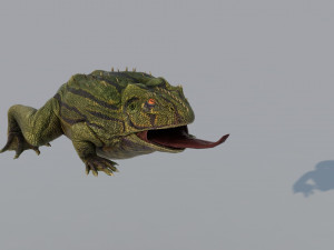 Frog 3D 모델
