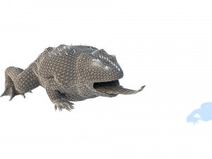 Frog 3D 모델
