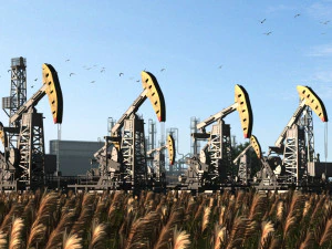 Pump oil 3D Model