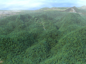 Mountain road 3D Model