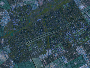 City building 3D Model