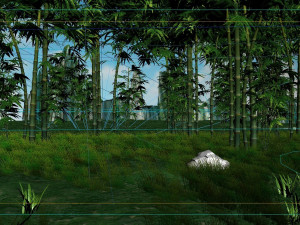 Bamboo forest 3D Model