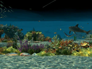Seabed 3D Model