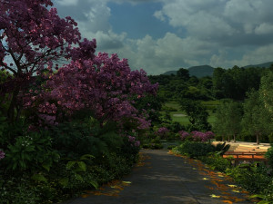 Outskirts Modelo 3D