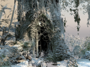 Tree hole Modelo 3D