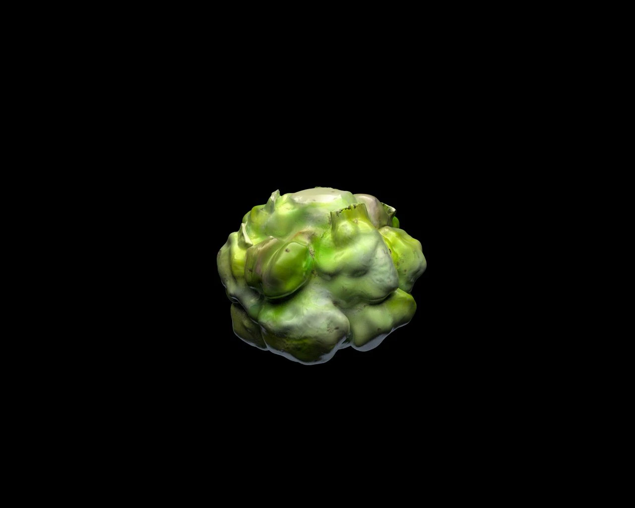 Cauliflower 3D Model .c4d .max .obj .3ds .fbx .stl .blend 