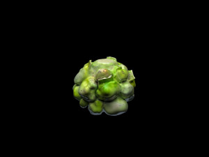 Cauliflower 3D Model