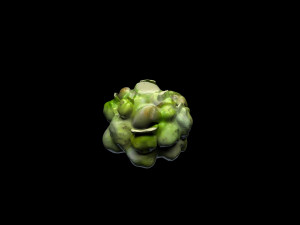 Cauliflower 3D Model