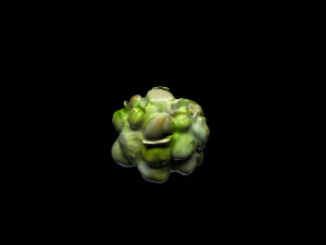 Cauliflower 3D Model