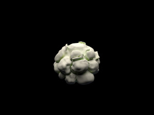 Cauliflower 3D Model