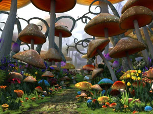Il mondo dei funghi Modello 3D
