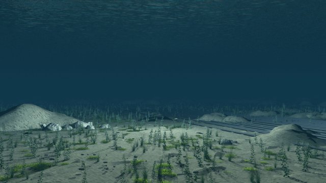 Seabed 3D 모델 .c4d .max .obj .3ds .fbx .stl .blend 