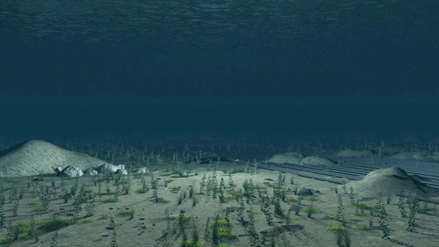 Seabed 3D Model .c4d .max .obj .3ds .fbx .stl .blend 