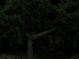 Tree fall 3D 模型