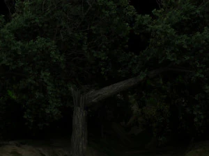 Tree fall 3D Model