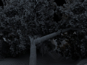 Tree fall 3D 模型