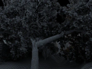 Tree fall 3D Model