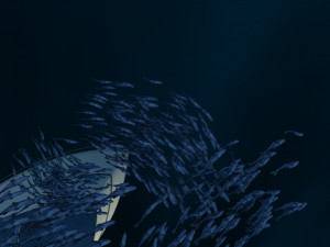 Shoal of fish 3D Model
