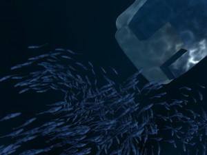 Shoal of fish Modèle 3D