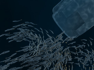 Shoal of fish Modèle 3D