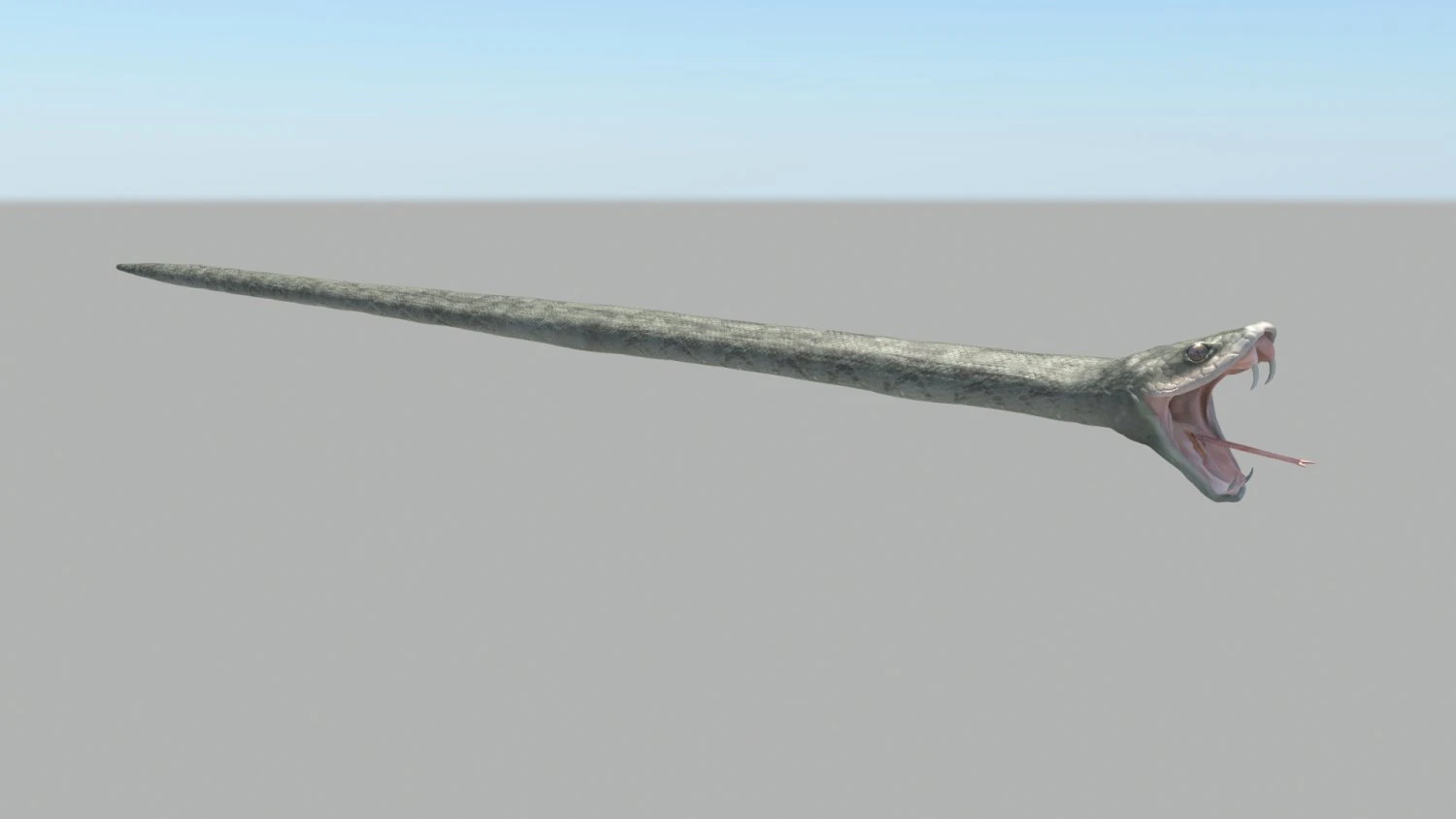 Snake 3D Model .c4d .max .obj .3ds .fbx .stl .blend