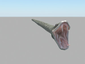 Snake Model 3D